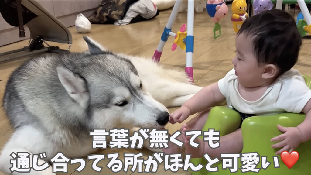 言葉がなくても通じ合っている様子