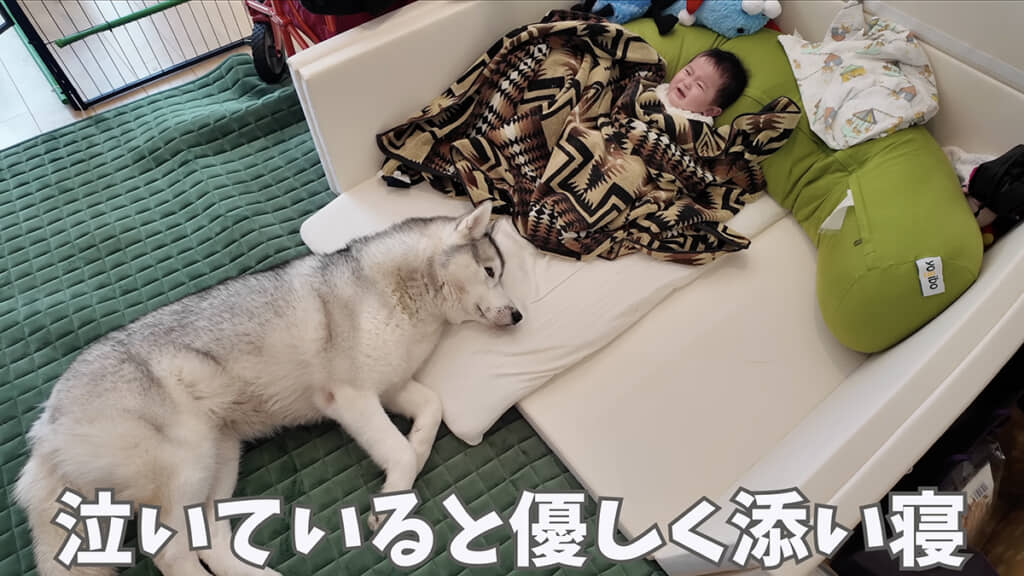 添い寝する姿にほっこり