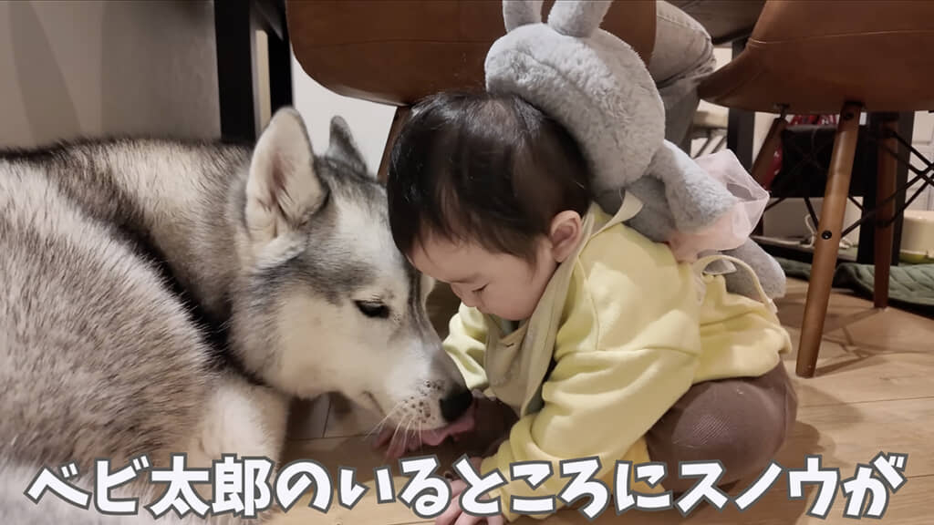 心温まる光景です