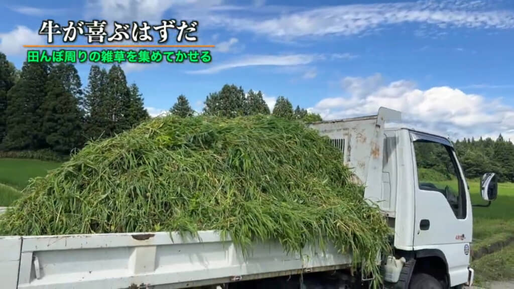 2トンダンプの荷台いっぱいに集まった雑草