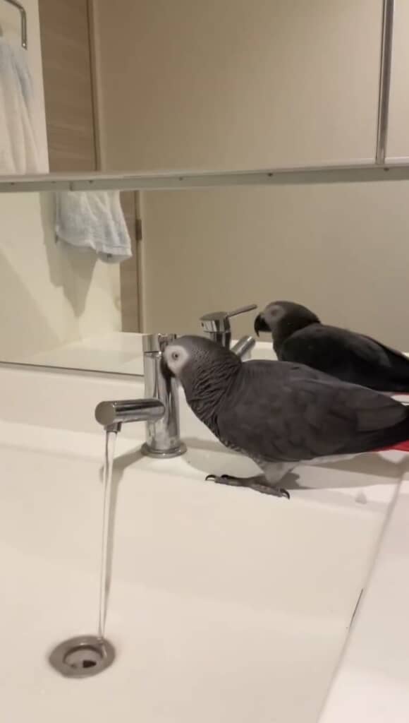 水が流れる音の正体