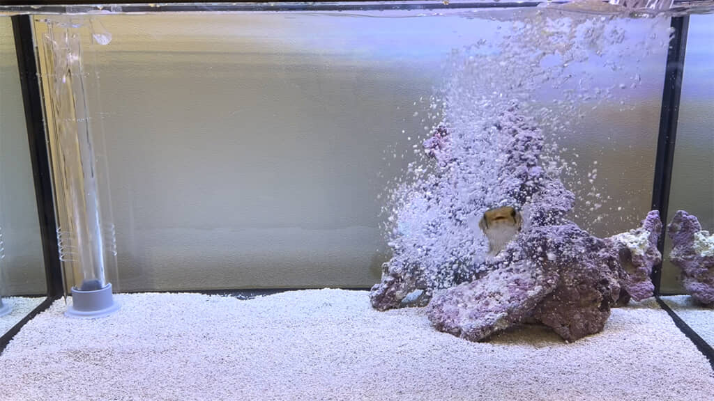 水槽に投入！