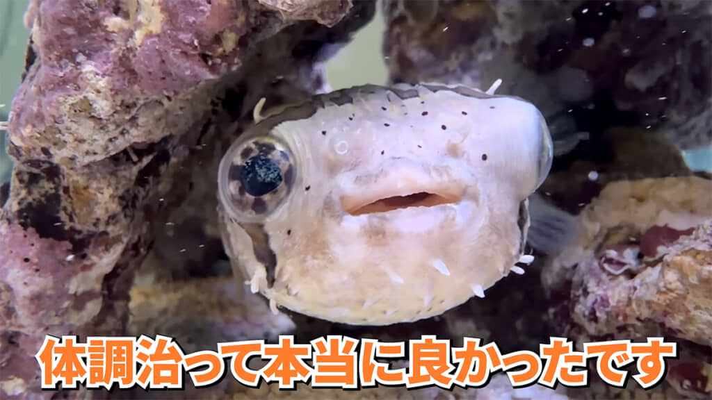 元気になってよかったです◎