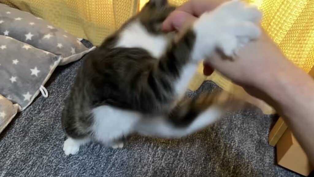 あぁあああ!!!