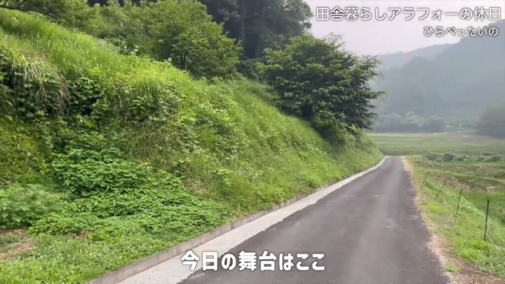 こちらの法面を草刈りしていきます