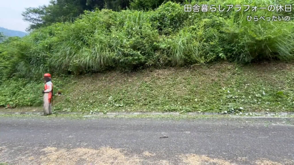 下の方の草を刈るだけで印象が違います