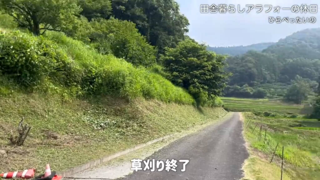 草刈り後の光景