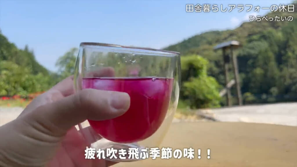 色がきれいな赤しそジュースでまったり休憩