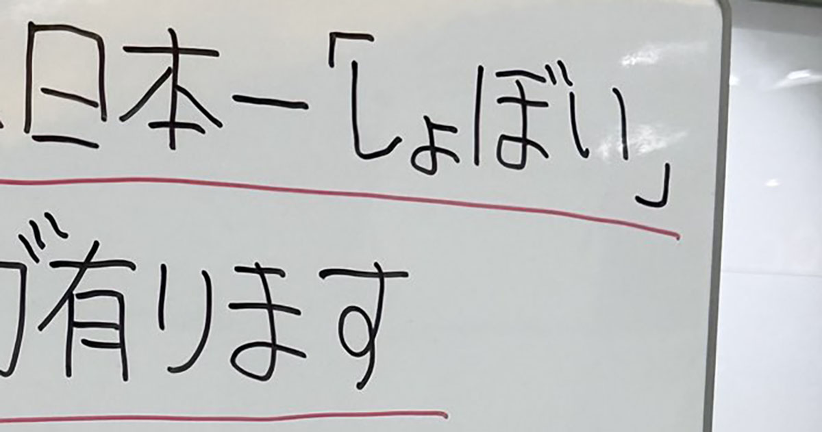 豊橋駅にある“日本一しょぼい”目印→駅長も勘違いした正体に「予想以上」「よく消されずに残っていたな」（1/3） | 電車 ねとらぼ