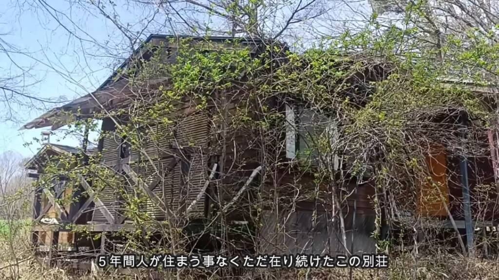 現地で見ると、荒れ具合が想像以上