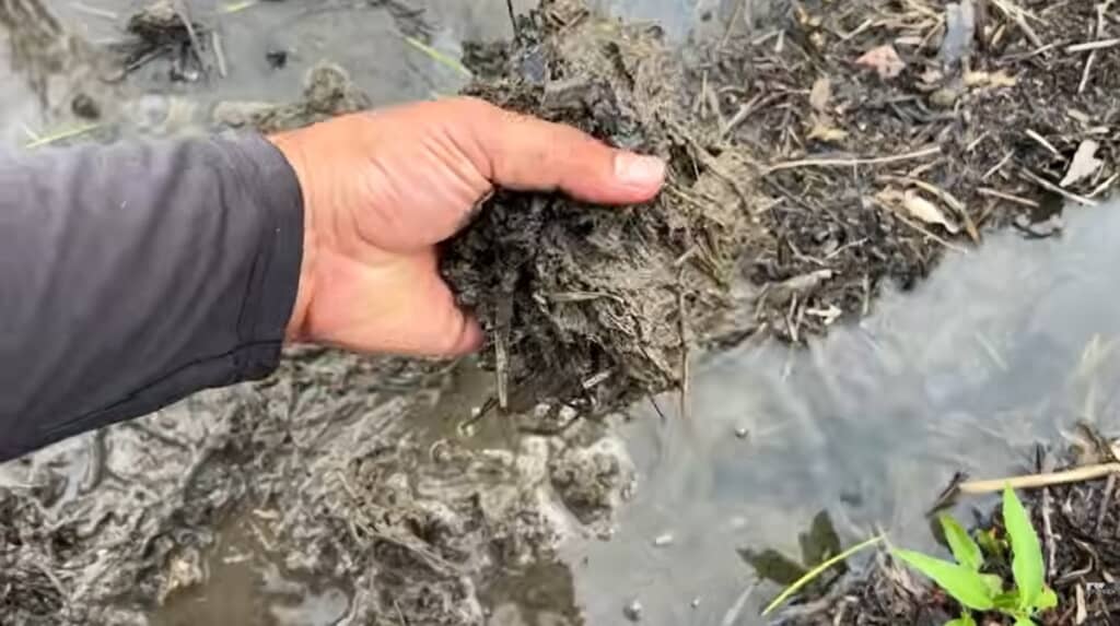 山の土が一緒に流れ込みました