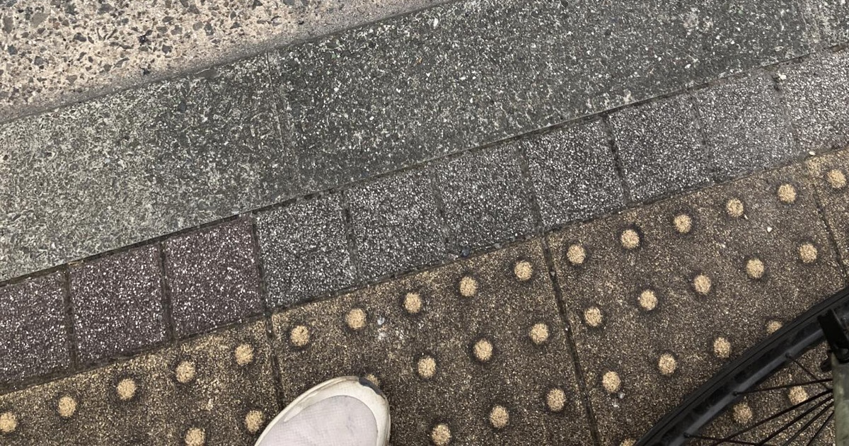 男性「さすが京都。落とし物のレベルが違う」→足下を見ると……「なにこれ」　まさかの光景が323万表示「こんなん道に落ちてあるんですねぇ…」（1/2） | 京都府 ねとらぼ