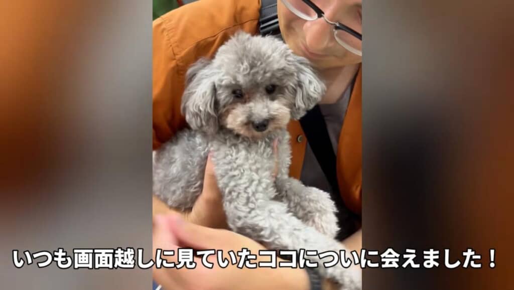 初対面