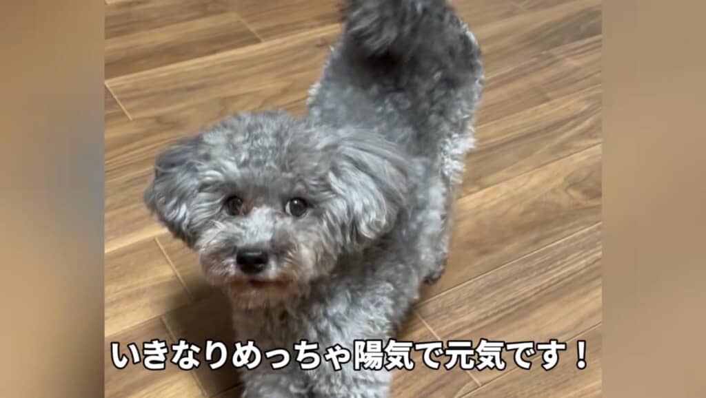 まさかの陽キャ！