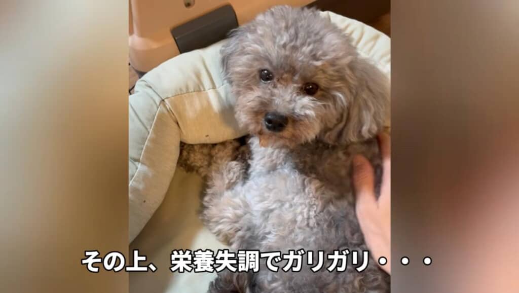今まで頑張って生き抜いてきたね
