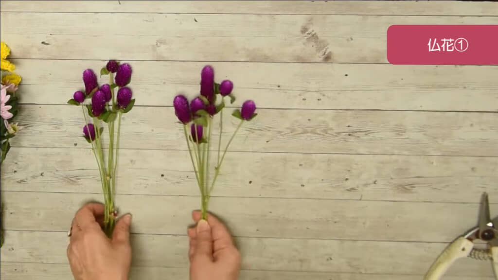 千日紅の花束を作る