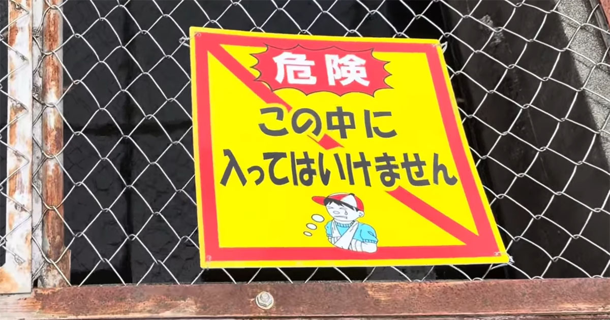 住宅地の用水路で「この中に入ってはいけません」→のぞくと…… 100匹以上の姿に「可哀想」「気の毒ですね」(1/3) | その他生き物 ねとらぼ