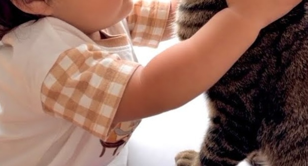 生まれたときから一緒だった猫と赤ちゃん→2年後……　涙が出る現在の姿に「本当に切ない」「ホッコリしました」（1/3） | 猫 ねとらぼ