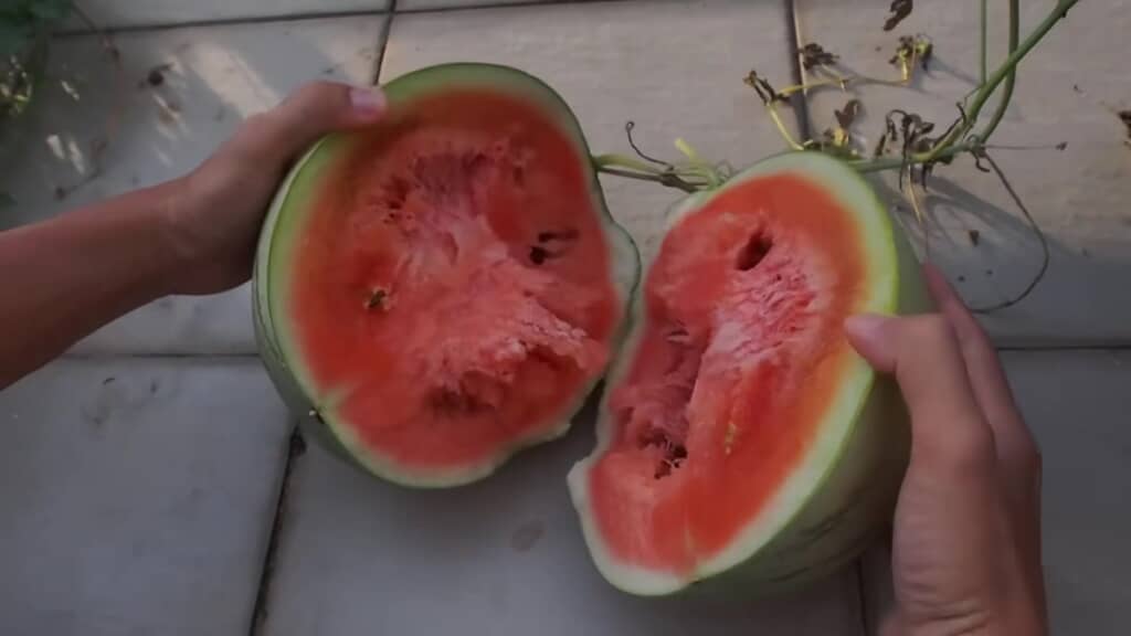 すいかを割ったところ