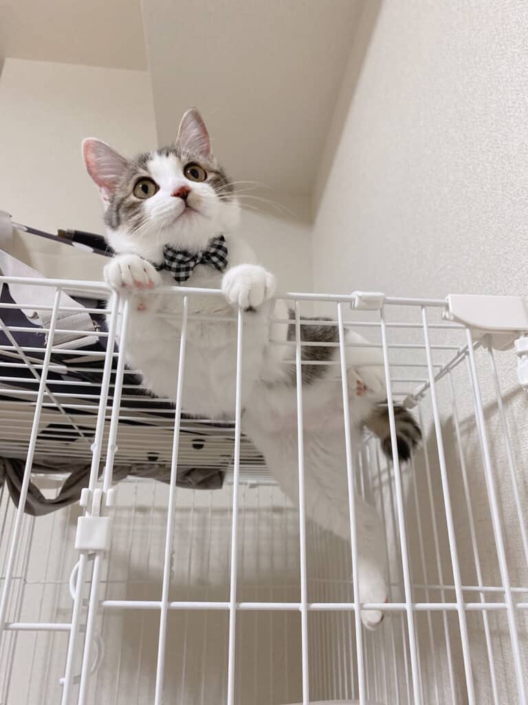 愛情をたっぷりもらっていることがうかがえます！