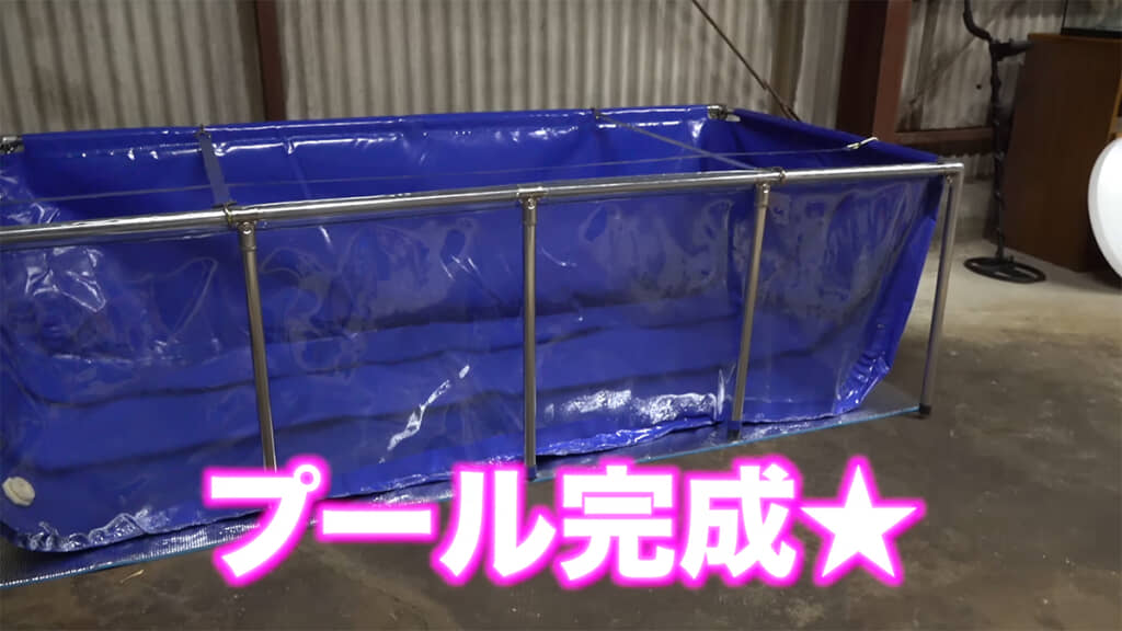 プールが完成しました！
