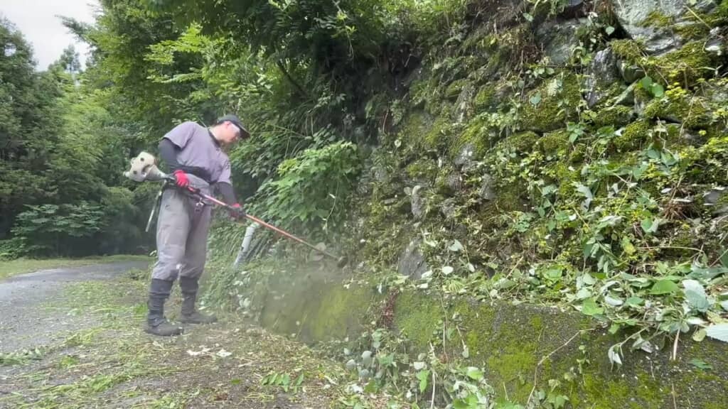 側溝とその近くにある石垣の草を刈る様子