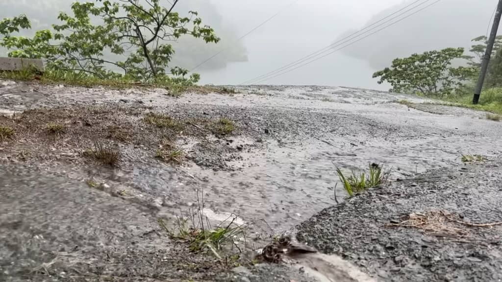 大雨でぬれた道路