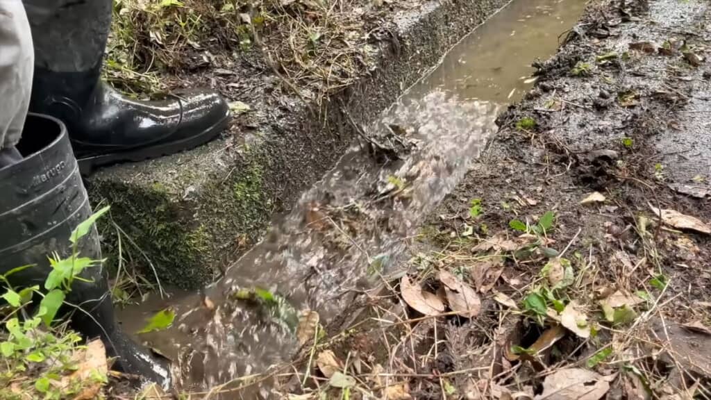 側溝の端部にあった泥がなくなり流れ出ていく泥水