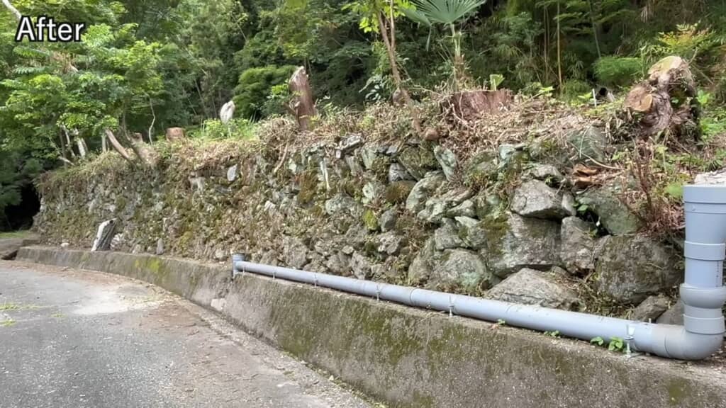 草がなくなってスッキリした側溝と近くの石垣