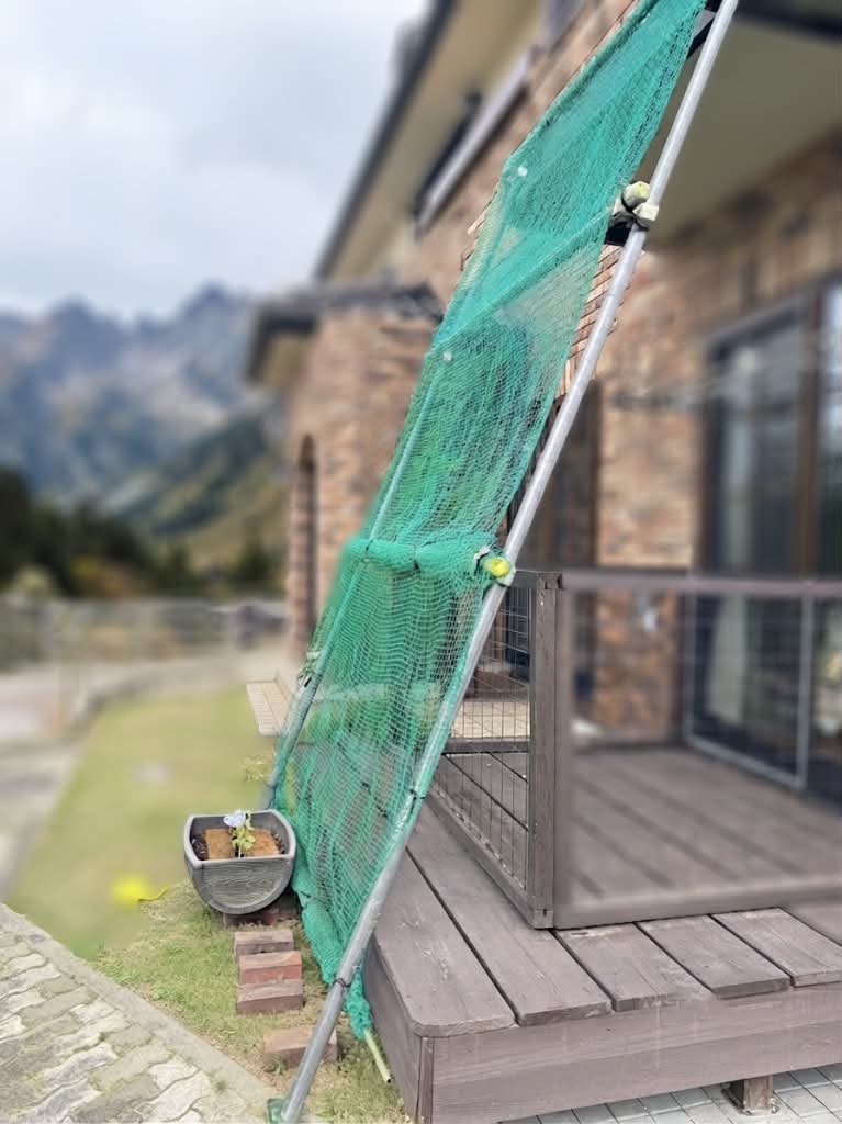 はたしてここからの巻き返しはあるのか……