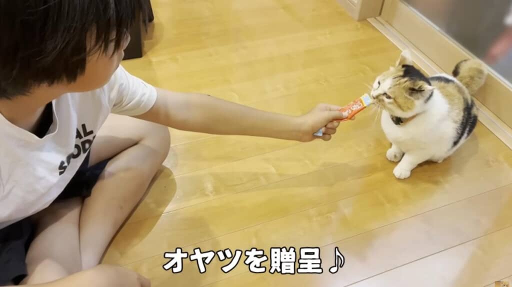 ニーニくんとおやつタイム