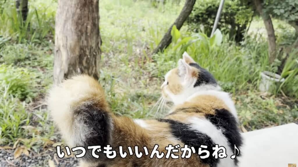 いつでも遊びに来てね！