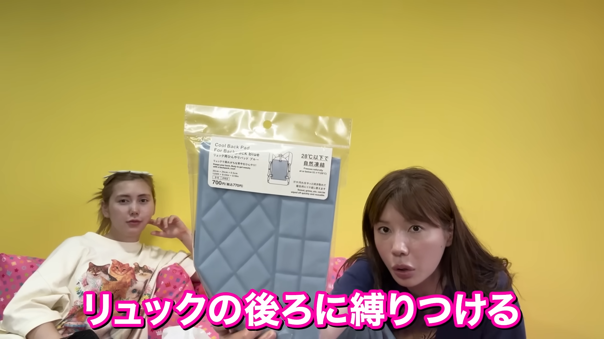通学用にも(画像はYouTubeから)
