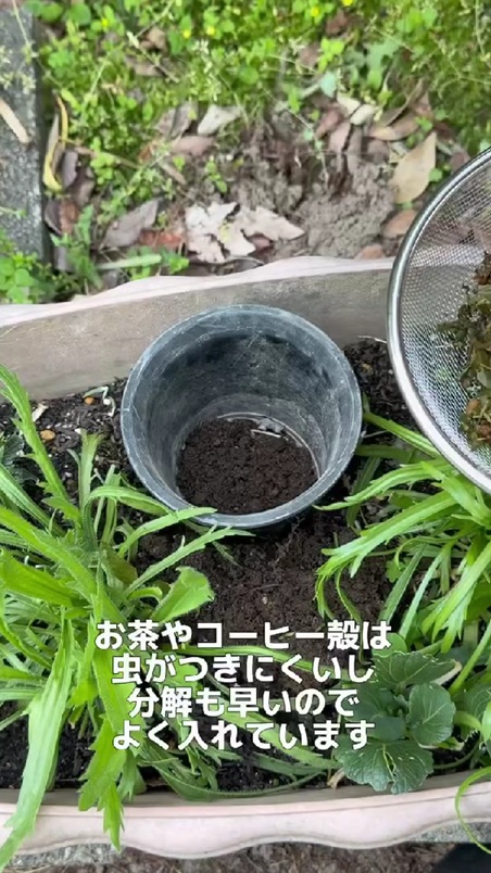 あとは生ごみを入れるだけ