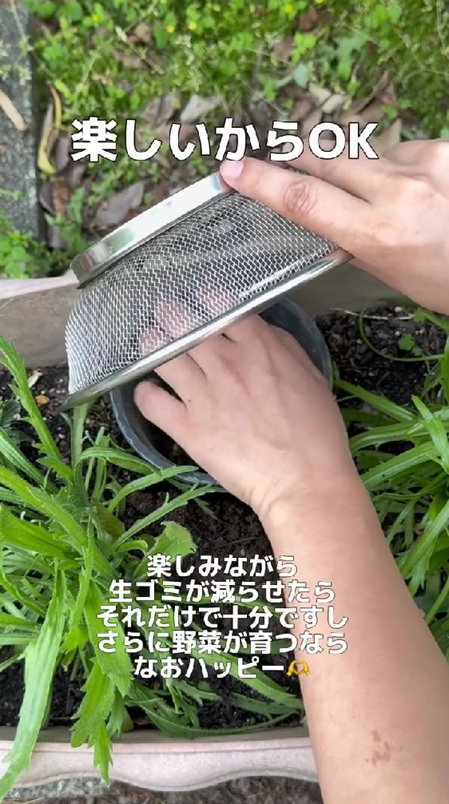 楽しく簡単に始められる