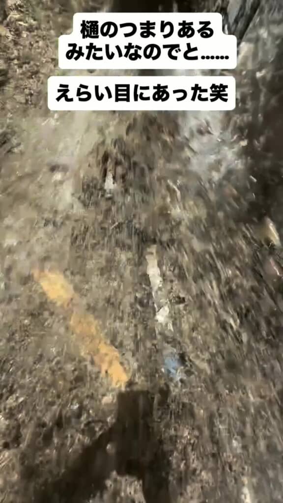 慌てて離れるカメラマンが撮った地面