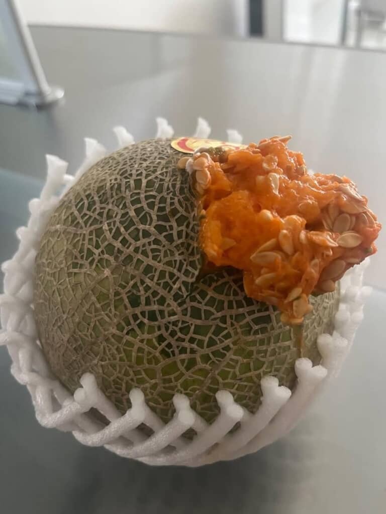 破裂して中身が出てしまったメロン