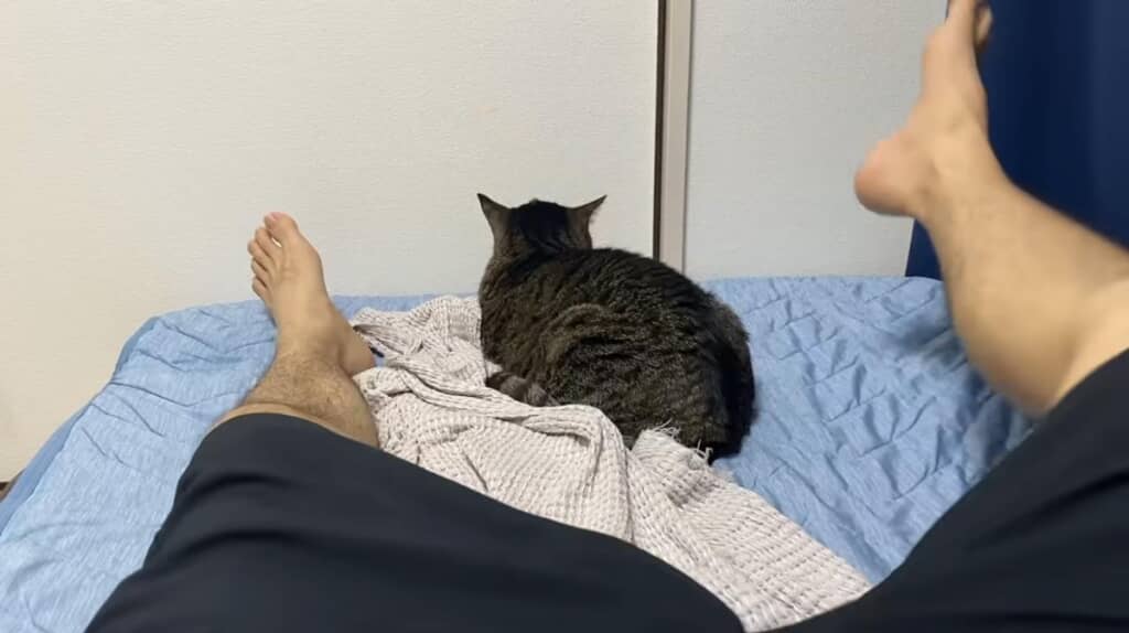 ベッドの真ん中を占領中