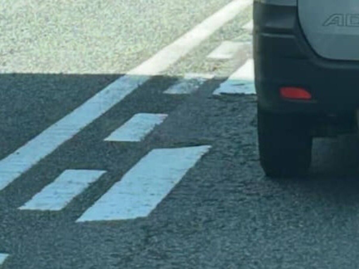 「前の車に柴犬詰まってる」→そんな訳ない! と思って見ると……「これは柴犬」 驚きの光景に「窮屈そうで怒ってるw」「疲れてるのかなぁ」(1/2) | ライフスタイル ねとらぼ