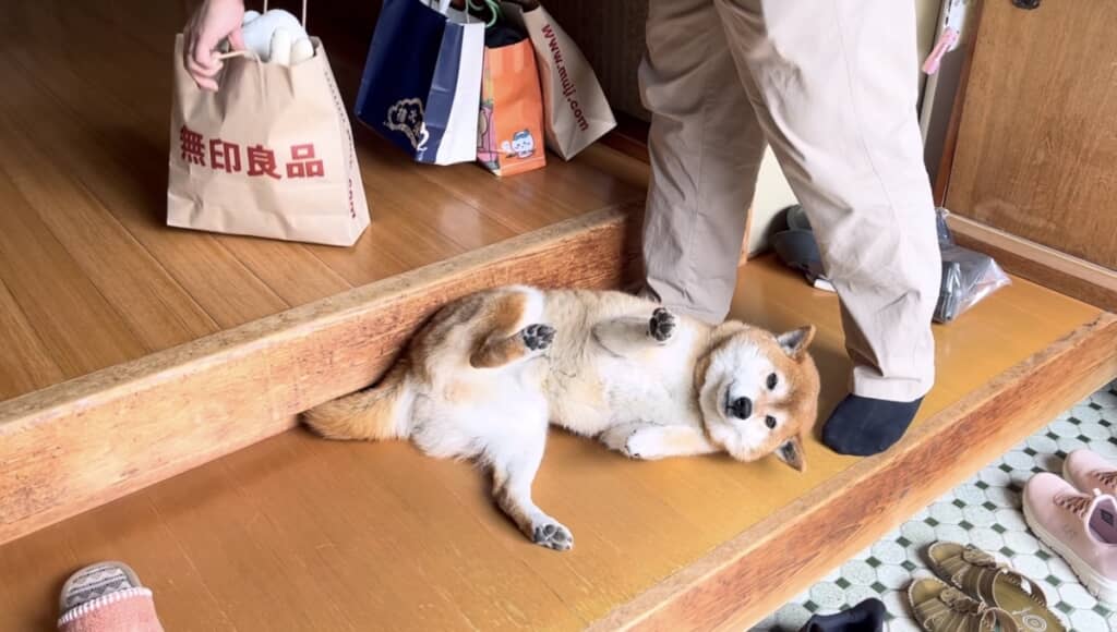 ころ~ん