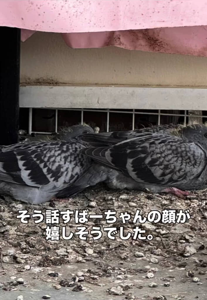 無事に巣立ってね