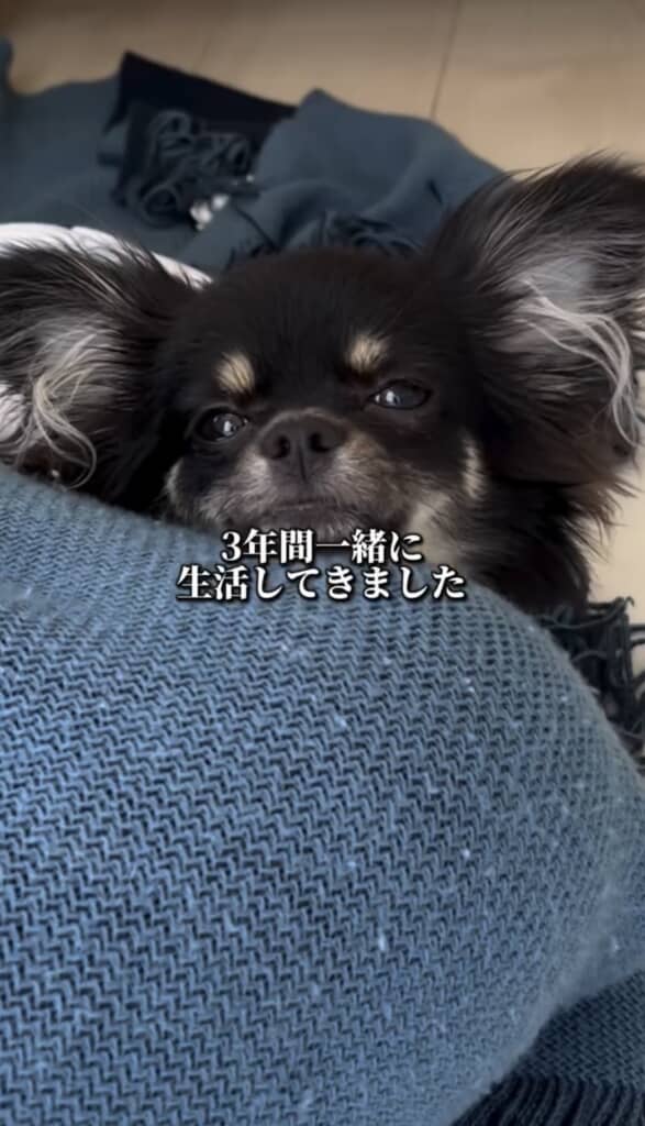 一緒に暮らして3年