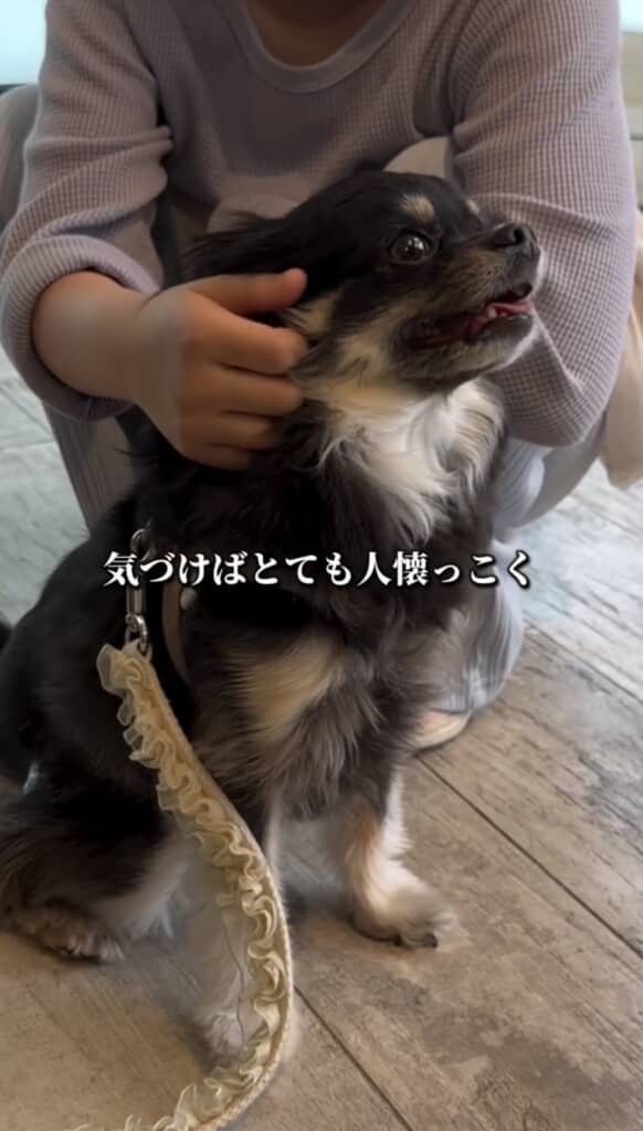 とても人懐っこい性格に