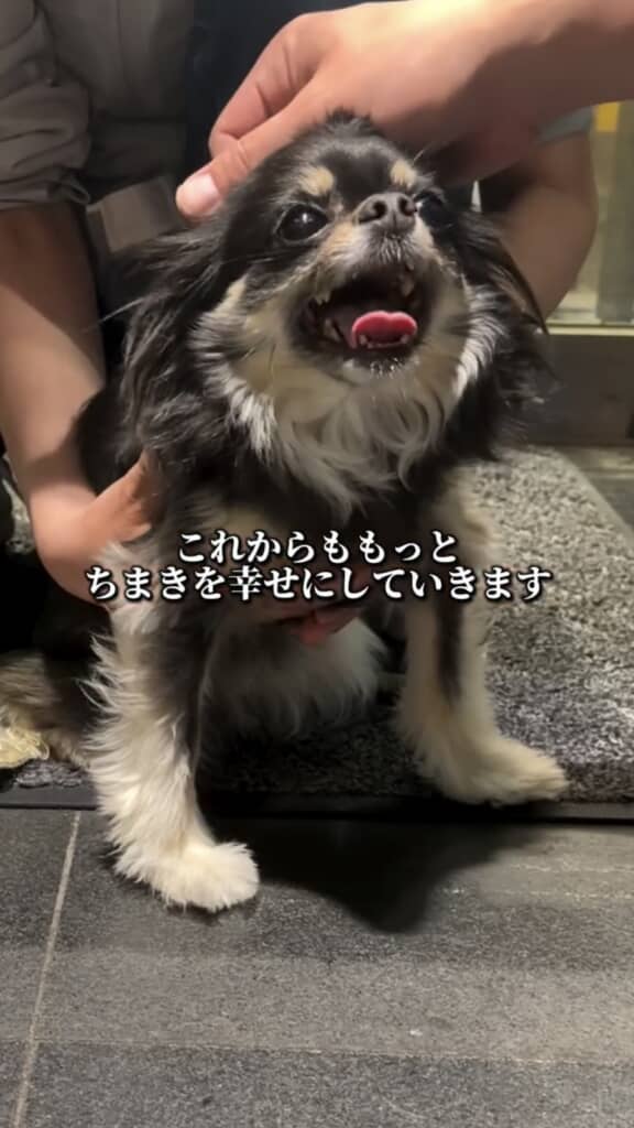 これからもかわいい笑顔をたくさん見せてね!