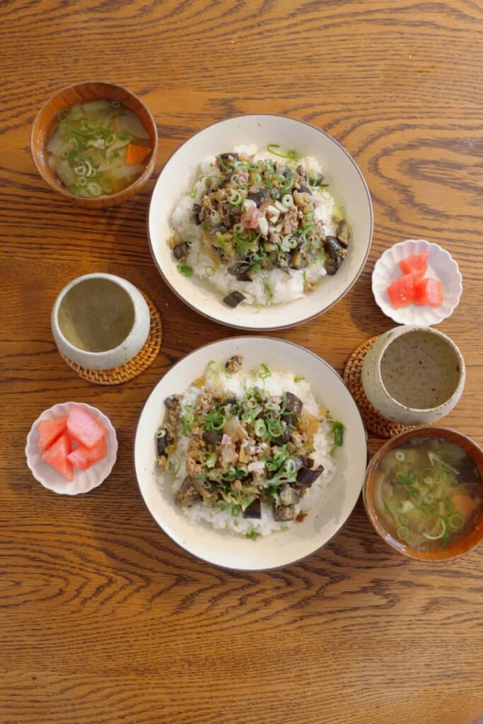 茄子の肉味噌炒めを乗せた丼