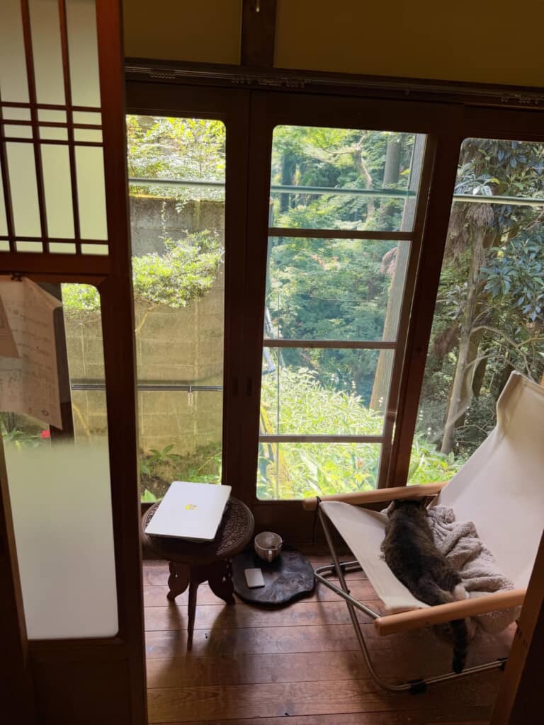 縁側に置いたイスにいた先客は……