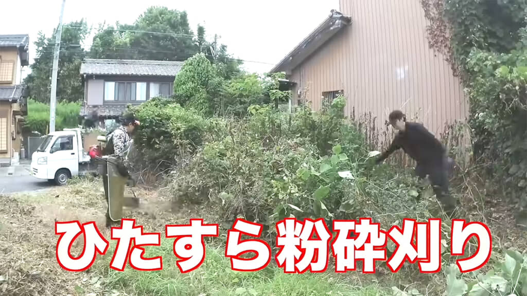 雑草はひたすら粉砕刈りをしていきます