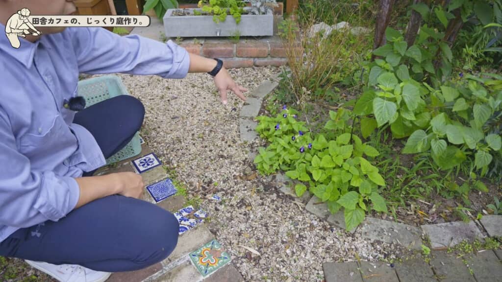 根が浅いため簡単に抜けた草