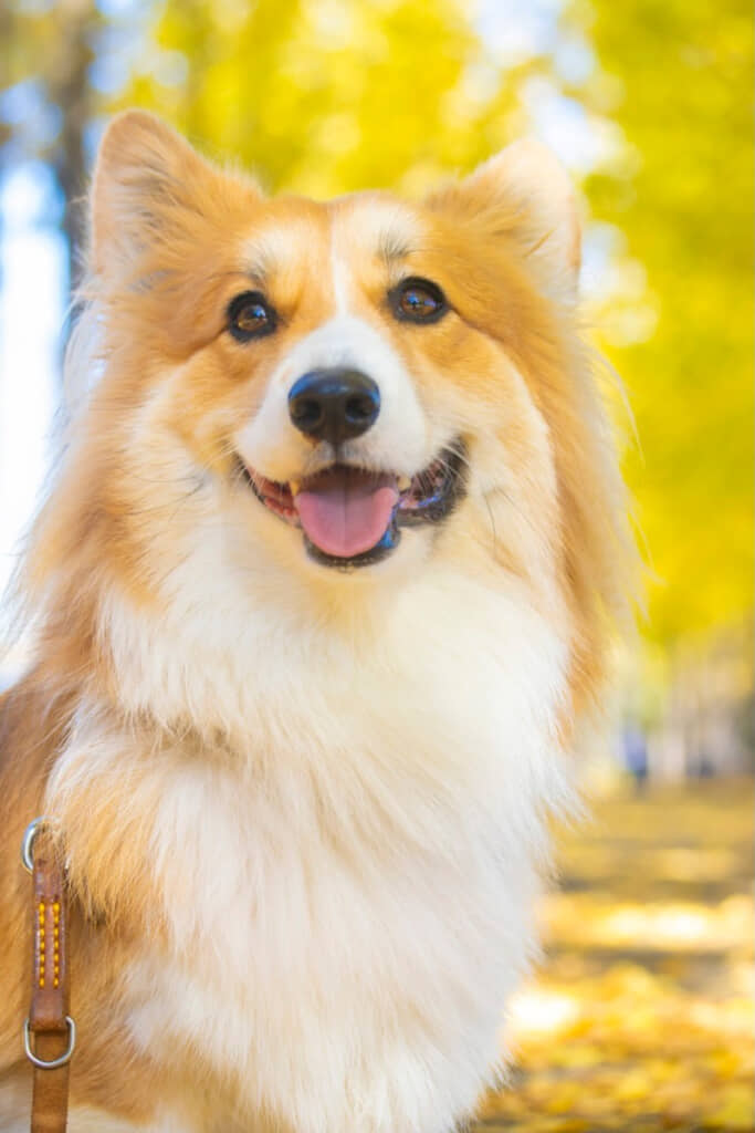 お顔もかわいい！
