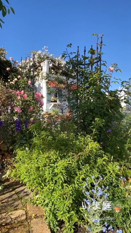 小屋も草花で彩られている